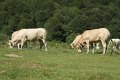 (90) Au plateau de Sanchèse